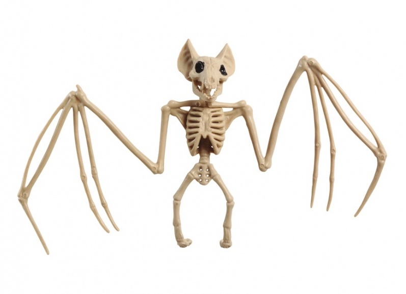 karnevalový doplněk HALLOWEEN kostra netopýra
