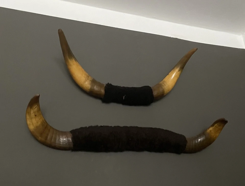 2 x rohy dekorace OSOBNÍ ODBĚR