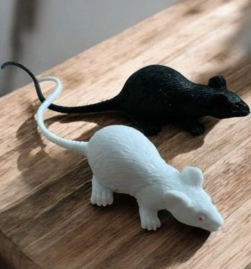 karnevalový doplněk MYŠKA 