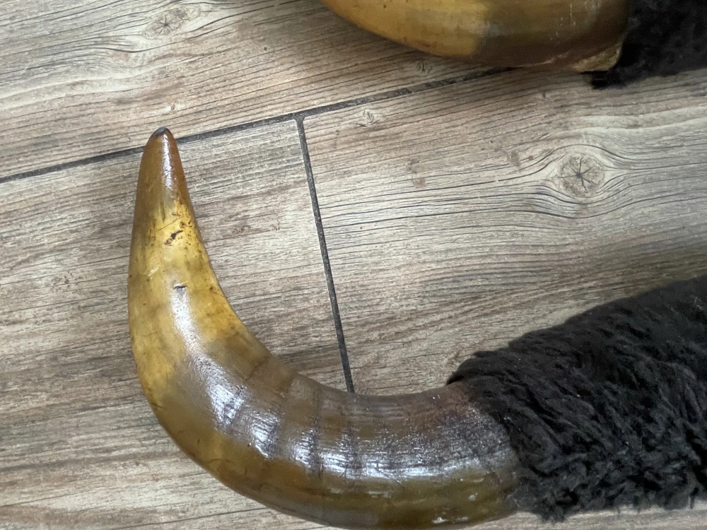 2 x rohy dekorace OSOBNÍ ODBĚR