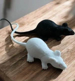 karnevalový doplněk MYŠKA 