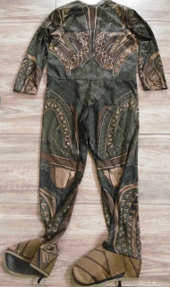 karnevalový kostým justice league AQUAMAN > 158