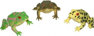 ŽÁBA GUMOVÁ