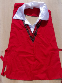 karnevalový kostým SKOT vel. M/L