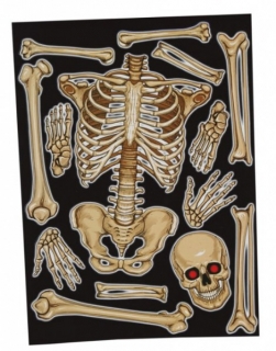 Dekorace na sklo - skeleton 30 x 40 cm