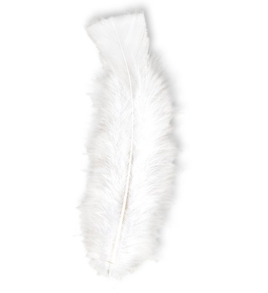 50 bílých peříček, 10 cm