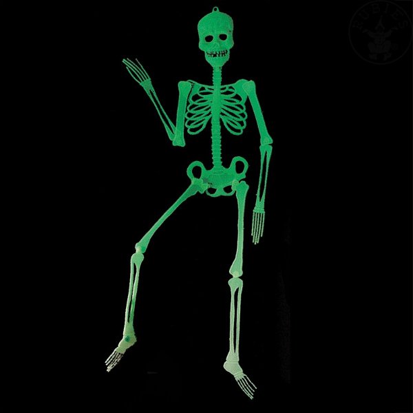Kostra fluoreskující 