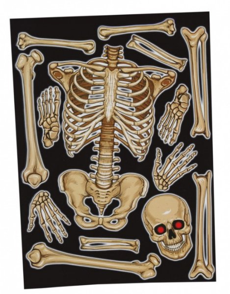 Dekorace na sklo - skeleton 30 x 40 cm