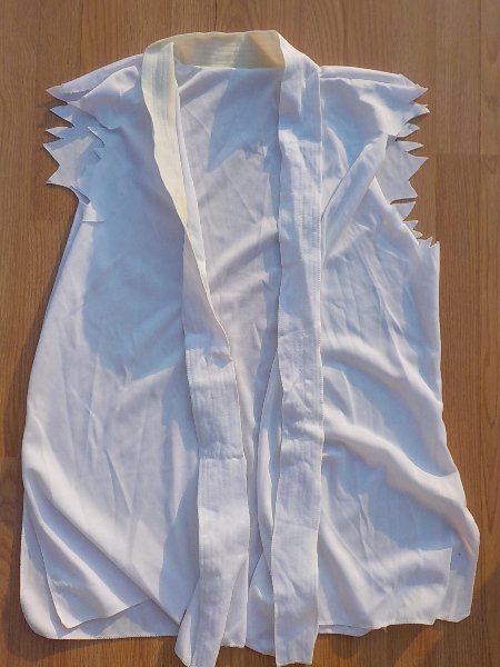 karnevalový kostým HÁBIT, VESTA duch, strašidlo, Bílá paní > XL